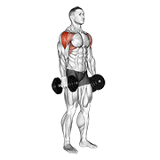 Shoulder Press